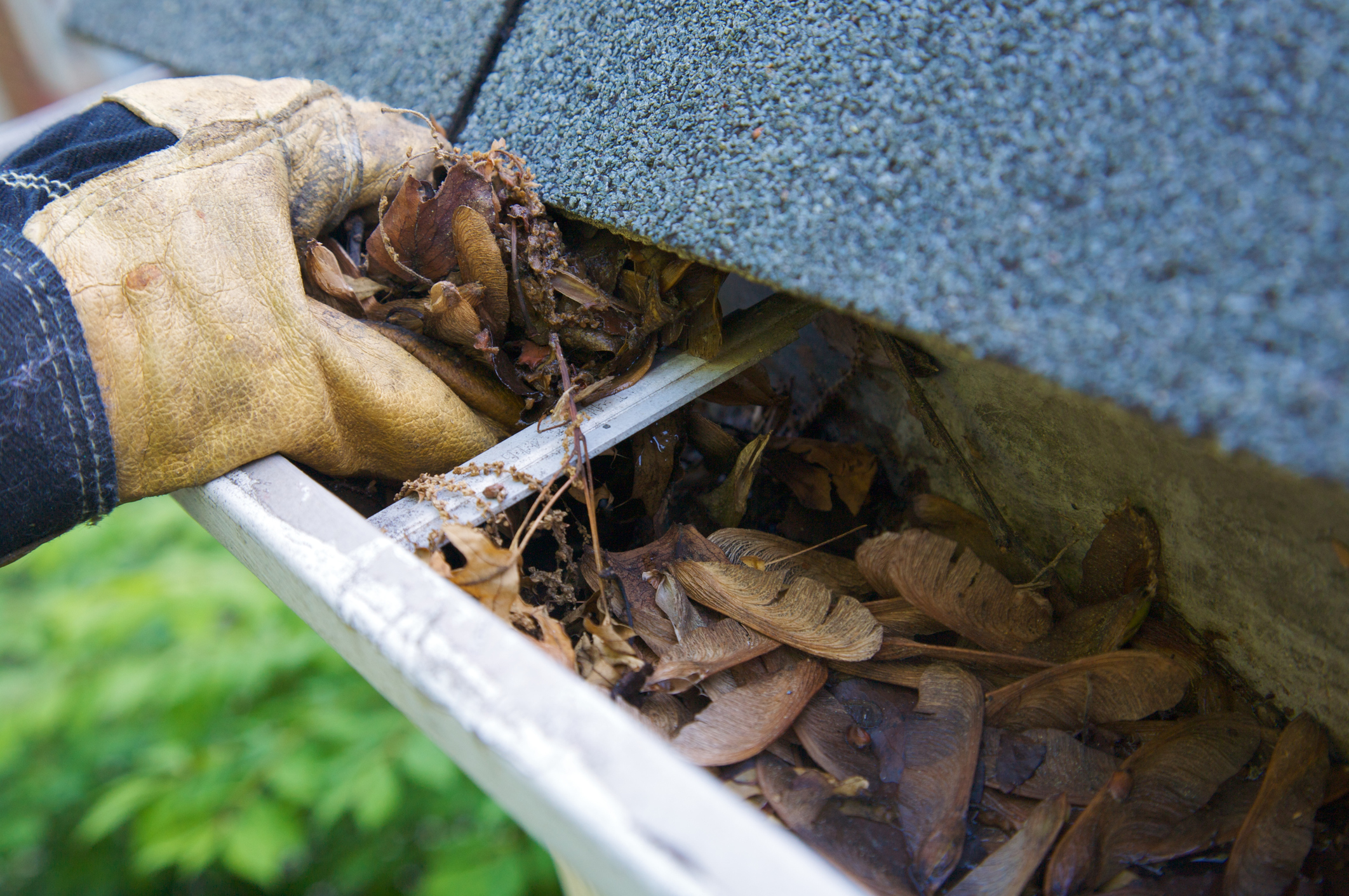 fall home repairs cleaning gutters