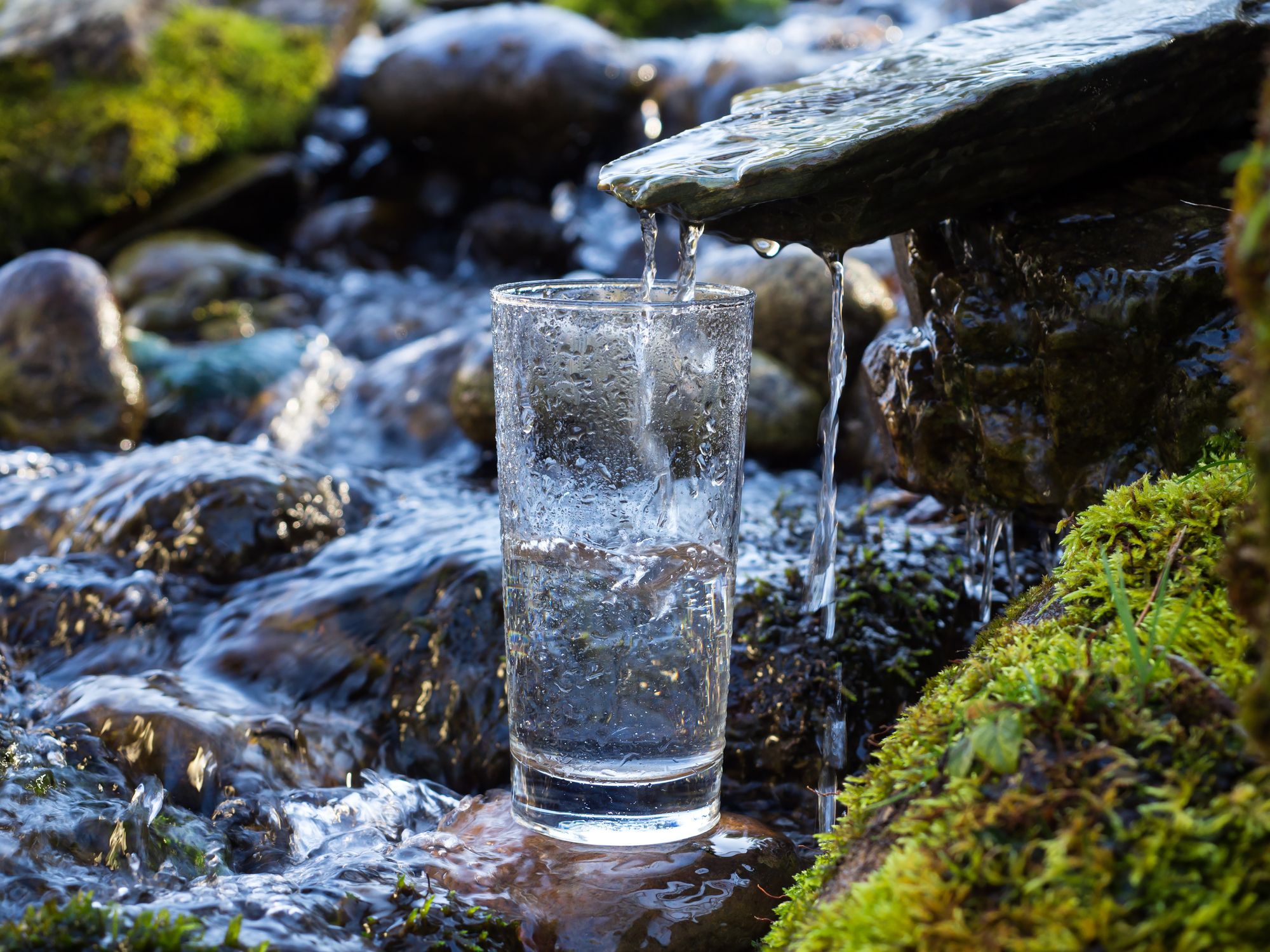 glass of water in a spring