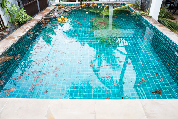 how to clean dirty swimming pool