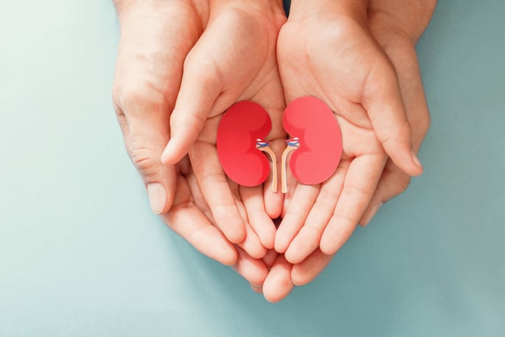 Picture of adult and child holding kidneys. Kidney Health