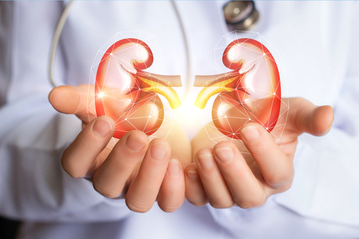 healthy kidneys from drinking filtered water